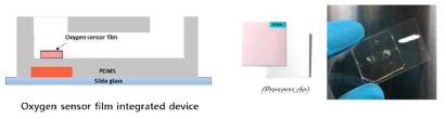 Oxygen scavenger가 적용된 oxygen sensor foil 탑재 미세유체디바이스의 개념도 및 실제 제작된 디바이스 사진