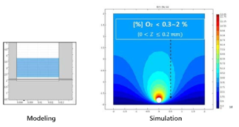 미세유체디바이스 내 산소농도 시뮬레이션을 위한 모델링 및 시뮬레이션 결과 그래프