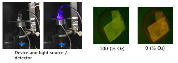 Flow 조건에서 디바이스 내 산소농도 모니터링을 위한 실험사진 및 산소농도에 따른 Oxygen sensor foil의 형광사진