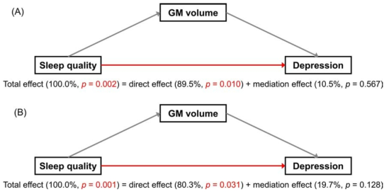 (A) right postcentral gyrus, (B) right paracentral lobule의 회백질 부피 감소는 수면 질 저하가 우울증 정도 증가에 미치는 영향을 매개하지 않음