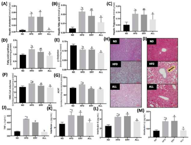 Effect of allulose supplementation for 16 weeks on (A-C)hepatic lipid profiles, (D-G)hepatic lipid metabolism related enzyme activities efficiency ratio, (H)hepatic morphology (magnification ×200), (I)masson‘s trichrome staining of liver(magnification ×200) and (J-M)levels of inflammatory cytokines in C57BL/6J mice fed high-fat diet with allulose Data are mean±S.E; Significant differences between HFD versus ND are indicated; *p<0.05, **p<0.01; abcMeans not sharing a common letter are significantly different among the high-fat diet groups at p<0.05. ND, normal diet (AIN-76); HFD, high fat diet (AIN-76, 20% fat, 1% cholesterol); ERY (HFD+5% Erythritol); ALL, (HFD+5% D-allulose). Hematoxylin and eosin (H Masson’s trichrome stain of liver demonstrating layers of fibrosis (blue) surrounding hepatic portal vein. Fibrillar collagens, primarily collagen I and III, are stained with blue. Representative photomicrographs of liver are shown at ×200 magnification