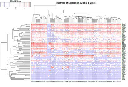 단일세포 유전체 분석기법을 이용한 와우 청각 유모세포의 유전자 발현 양상의 hierchial clustering