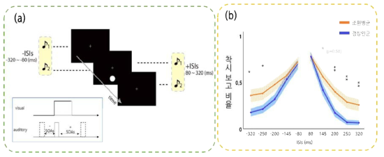 (a) 실험절차 및 방법. (b) 조현병 환자 및 일반인에 대한 실험 결과. 일반인(파란색) 집단에 비해 조현병 환자 집단(주황색)의 착각 경험이 자극 간 제시 간격이 긴 경우에도 지속됨이 확인됨