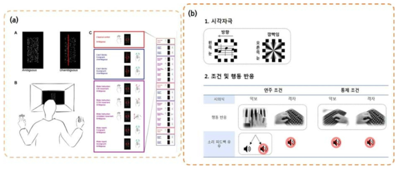 (a) 관련 선행 연구의 실험 방법. 수행 중인 운동의 방향성이 쌍안정 시각자극의 의식적 지각에 미치는 영향을 연구함. (b) 피아노 연주가 양안 경합 중 제시되는 악보자극의 시자각에 미치는 영향을 관찰하기 위한 실험방법