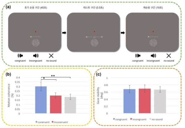 a. 실험 자극 제시 방법 예시. b. 시청각 합치 조건에 따른 운동잔효효과의 크기. 운동잔효효과를 상쇄시키는데 필요한 운동응집성이 클수록, 운동잔효효과가 컸음을 의미함. c. 시청각 합치 조건에 따른 안구 안정성의 차이는 관찰되지 않았음
