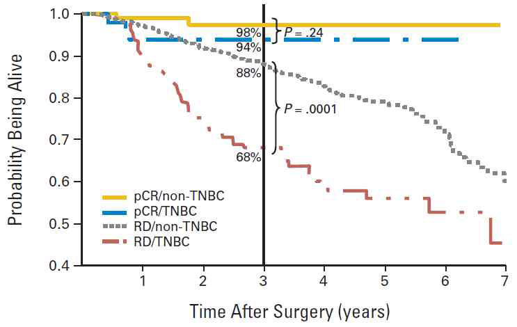 삼중음성유방암 환자와 삼중음성이 아닌 유방암 환자의 항암치료 반응에 따른 생존률 비교, JCO 2008
