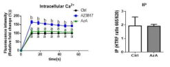 아젤라산에 의한 GLUTag 세포 내 IP3, 칼슘 농도 변화