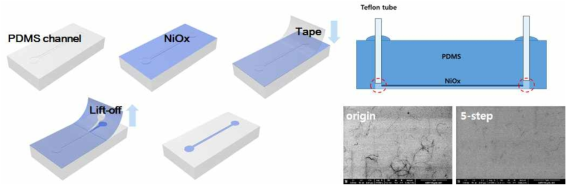 채널부 NiOx 증착 공정 및 분리장치 모식도, 분리 후의 SEM 이미지