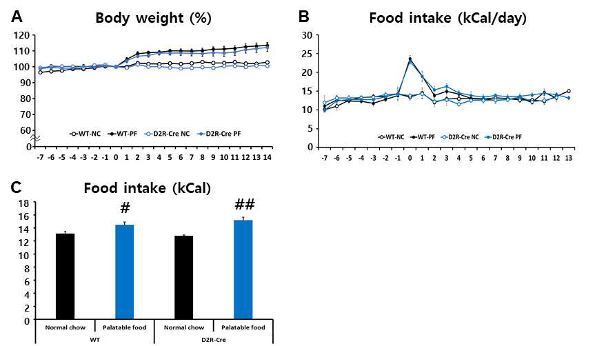 맛있는 음식을 제공하며 음식에 대한 선호도를 유발하는 동안 정상쥐와 D2R-Cre쥐의 몸무게 및 음식 섭취량 분석. (A) WT PF와 D2R-Cre PF 그룹의 쥐들은 14일 동안의 맛있는 음식 제공에 의해 0일의 몸무게 대비 14일 째의 몸무게가 약 114%로 증가 되어 있는 반면, WT NC와 D2R-Cre NC 그룹에서는 몸무게의 증가가 관찰되지 않음. (WT n=8, D2R-Cre n=8). (B) 기본적인 음식 섭취량 및 14일 동안 맛있는 음식을 제공하며 측정한 음식섭취량. 정상쥐와 D2R-Cre쥐 모두 맛있는 음식을 제공받은 쥐들이 일반 사료만 제공받은 쥐들보다 처음 5일 동안 높은 음식섭취량을 보였으며, 이후 일반 사료 그룹과 비슷한 정도로 감소하긴 하나 14일째까지 여전히 일반 사료 그룹보다 조금 더 높은 음식 섭취량을 보임 (WT n=8, D2R-Cre n=8). (C) 맛있는 음식을 제공한 14일 동안에 하루에 먹은 음식섭취량의 평균을 분석한 결과. WT NC와 D2R-CRe NC쥐 사이의 음식 섭취량에 차이를 보이지 않음. NC그룹 대비 WT PF는 약 1.3kCal, D2R-Cre PF는 약 2.6kCal 유의하게 더 많은 음식 섭취량을 보임. (# P < 0.05, ## P < 0.01, WT n=8, D2R-Cre n=8)