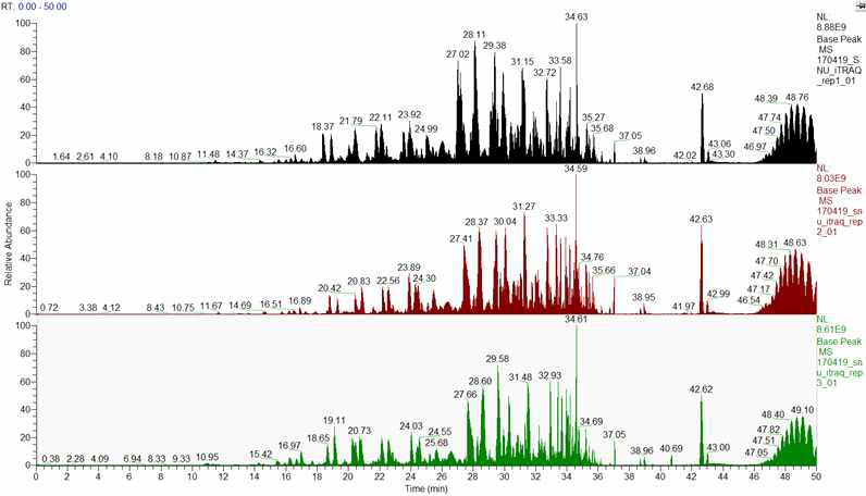 Base Peak Chromatogram