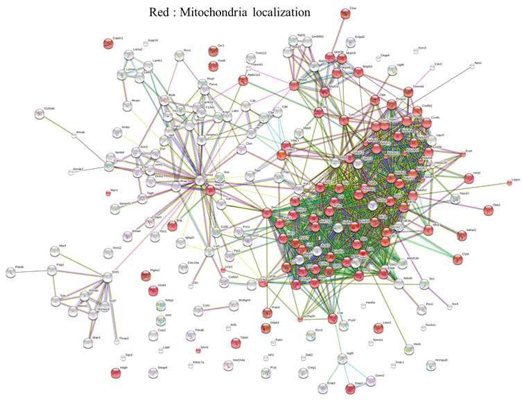 단백간의 network분석