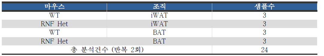 분석샘플