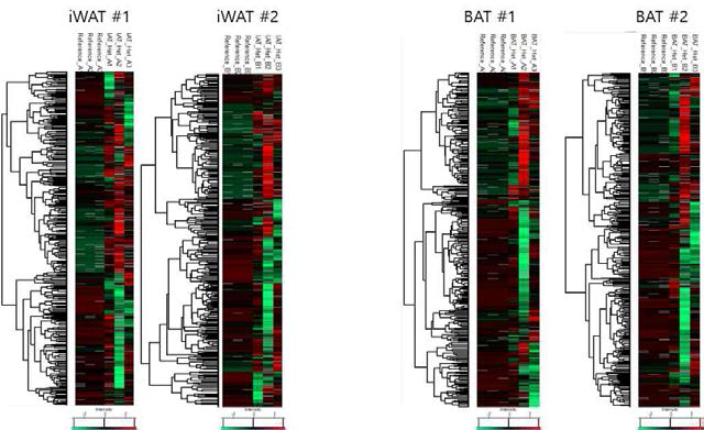 각 조직 및 2번 반복 heatmap