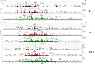 Base Peak Chromatogram