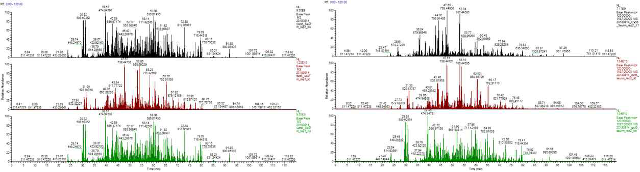 Base Peak Chromatogram