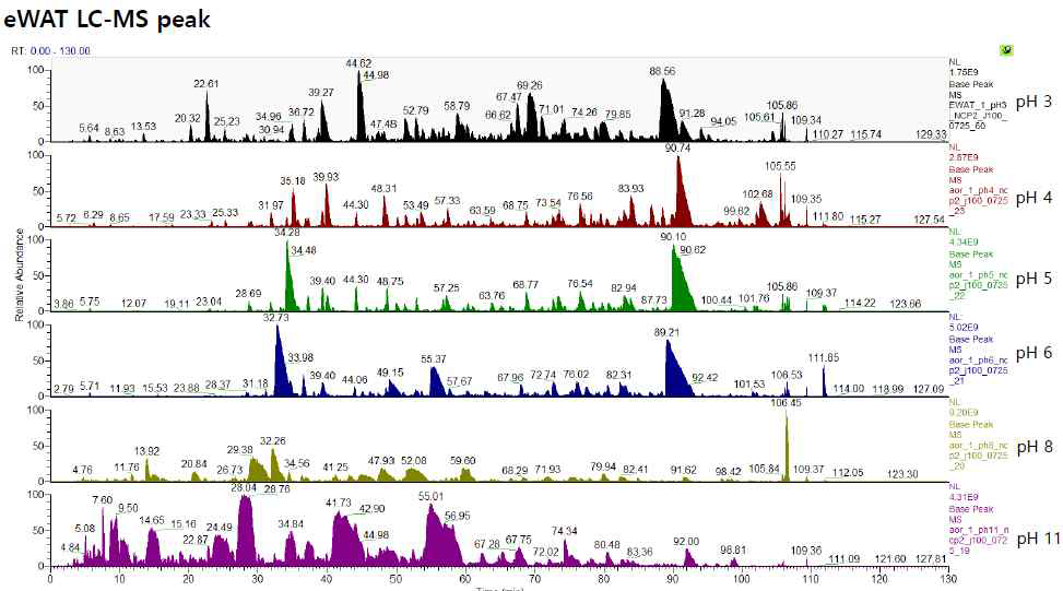 Base Peak Chromatogram