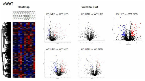 eWAT 그룹간 비교분석