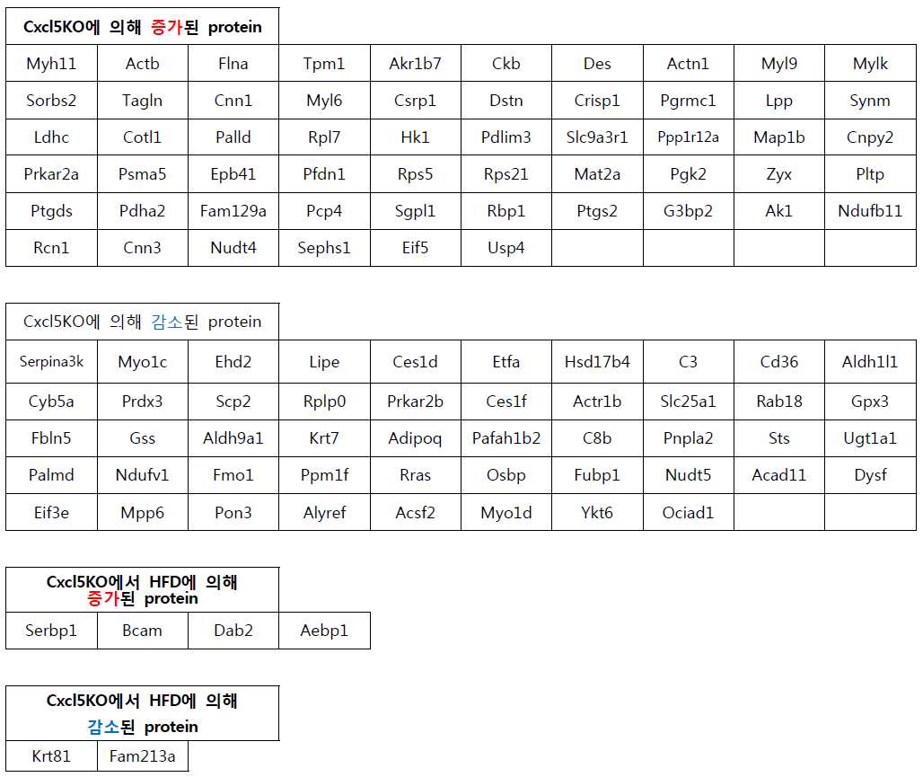 eWAT에서 변화되는 단백질