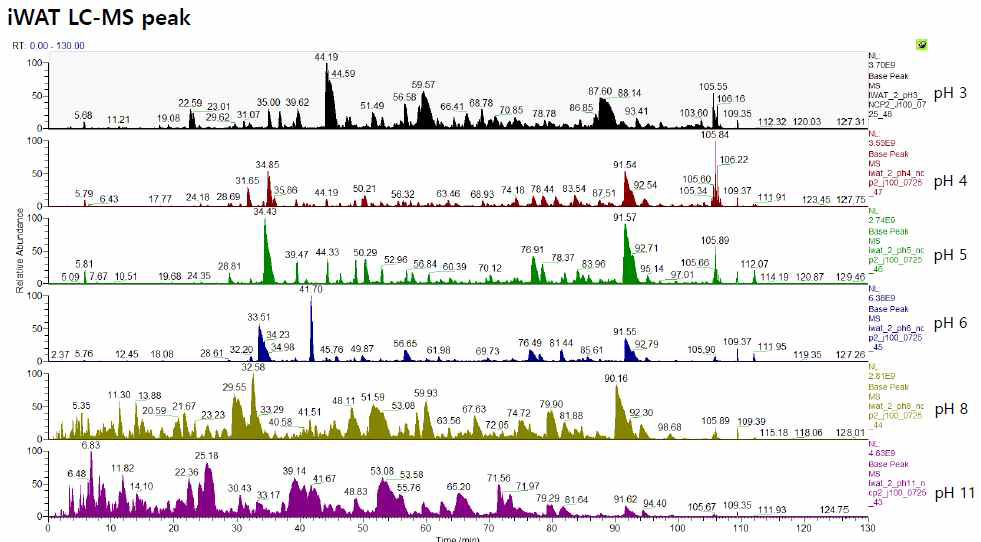 Base Peak Chromatogram