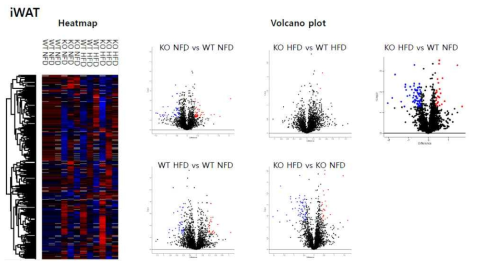 iWAT 그룹간 비교분석