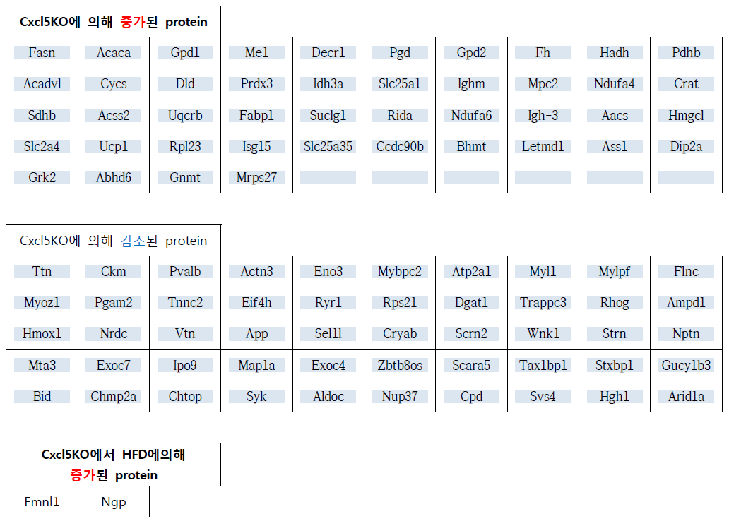 iWAT에서 변화되는 protein