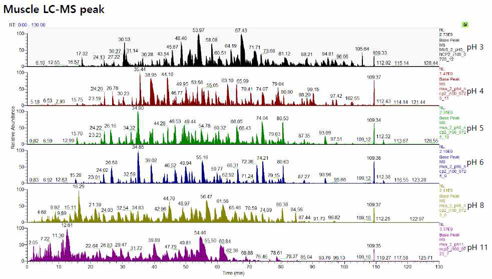 Base Peak Chromatogram