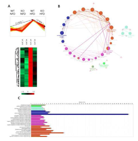 패턴에 따른 gene ontology 분석