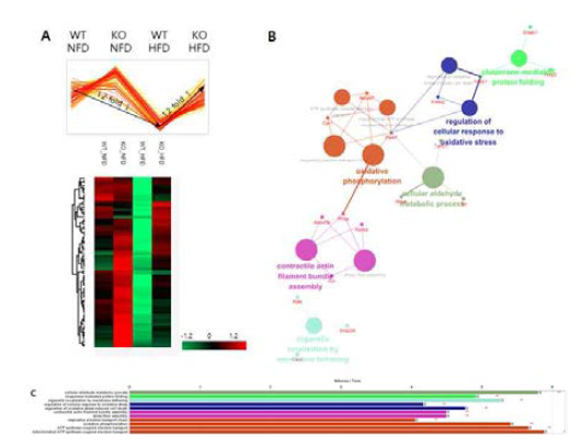 패턴에 따른 gene ontology 분석