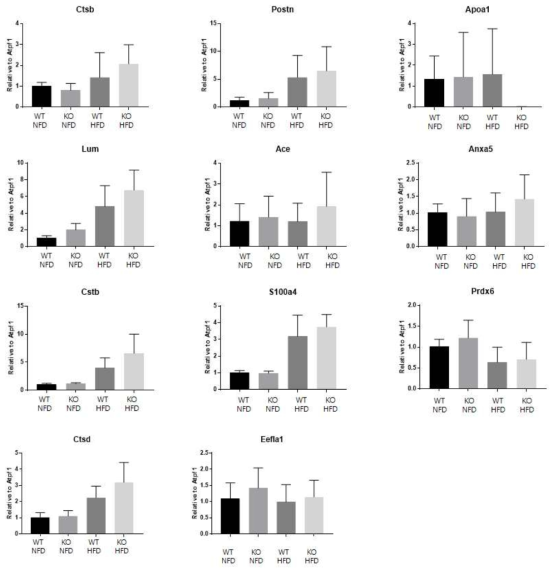 qPCR을 통한 17개의 단백질의 mRNA level 확인