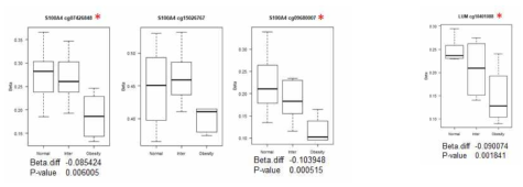 프로모터에서의 methylation 변화