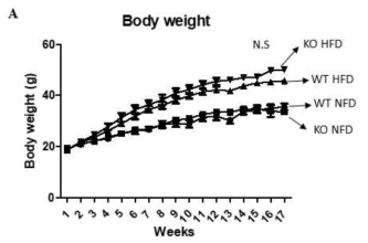 16주간 식이 섭취한 마우스의 몸무게 추이