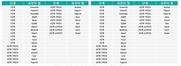 기본표현형 분석이 끝난 KMPC제작 마우스 70종