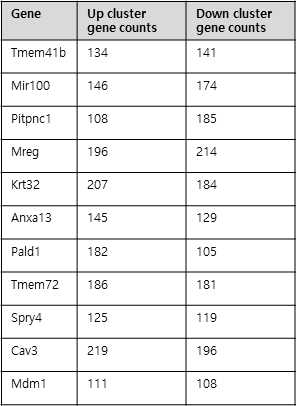 KO 마우스 특이적인 발현에 해당하는 클러스터에 속하는 유전자 수