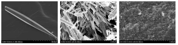 Co2(m-DOBDC) single crystal, micro-crystal, nano-crystal의 SEM 이미지