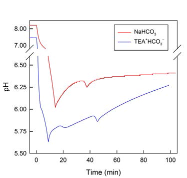 NaHCO3와 TEA+HCO3-를 이용한 촉매 합성 단계 중 침전과 숙성에서 시간에 따른pH 변화 곡선