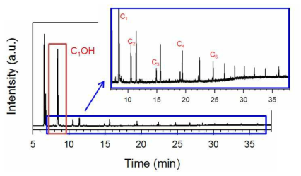 (a) GC를 이용한 생성물의 전체적인 GC 피크, (b) 확대된 C2 이상 생성물 피크