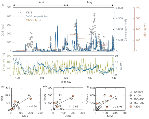 (a) The concentration of atmospheric DMS (grey circle) measured at Zeppelin station, the concentration of nano-particles (3-10nm) and MSA collected at the Gruvebadet observatory in Svalbard, (b) the relationship between the atmospheric DMS concentration and the corresponding MSA, (c ) the relationship between atmospheric DMS concentration and the corresponding nano-particles (3-10nm), (d) the relationship between the MSA concetration and corresponding nano-particles (3-10nm)