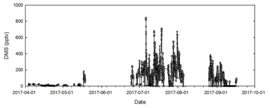 The mixing ratios of atmospheric DMS measured at Storhofdi station, Iceland