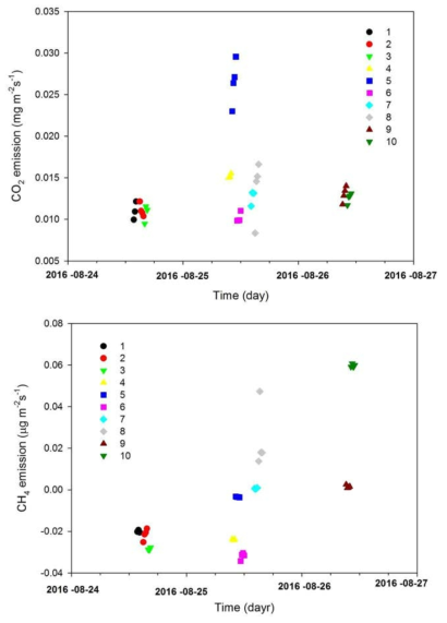 다양한 토양표면에서의 이산화탄소와 메탄 플럭스