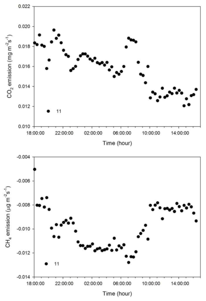 유기물 토양에서의 이산화탄소와 메탄 플럭스의 일변화 관측