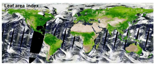 MOD15A2 엽면적지수 (출처: https://worldview.earthdata.nasa.gov/)