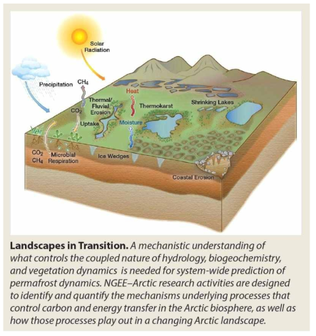 Next-Generation Ecosystem Experiments (NGEE Arctic)