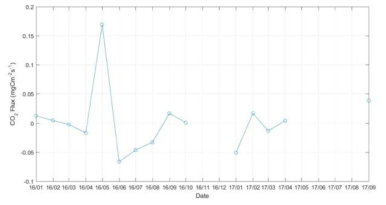 Monthly average carbon flux in Dasan station (Svalbard node)