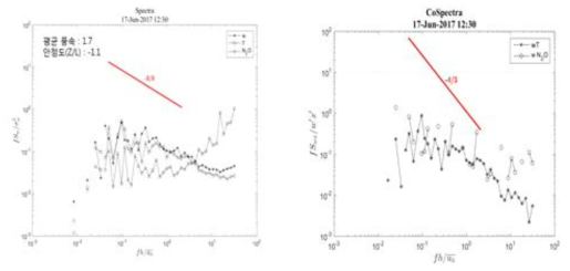 Power Spectrum and Cospectrum of N2O flux