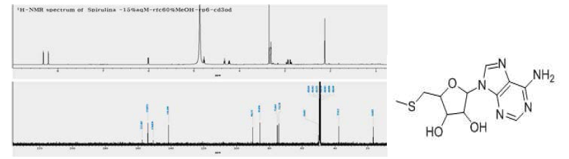화합물 13의 구조 및 1H, 13C-NMR 데이터