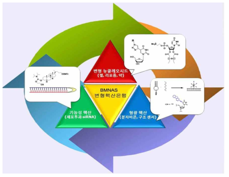 변형핵산은행의 세분화된 관리시스템