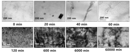 열화시간에 따른 Al6061-T6 TEM 조직사진