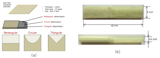(a) GFRP 시험편의 형상 및 크기 정보와 (b) 실제 모사된 박리 층 구조 및 형상