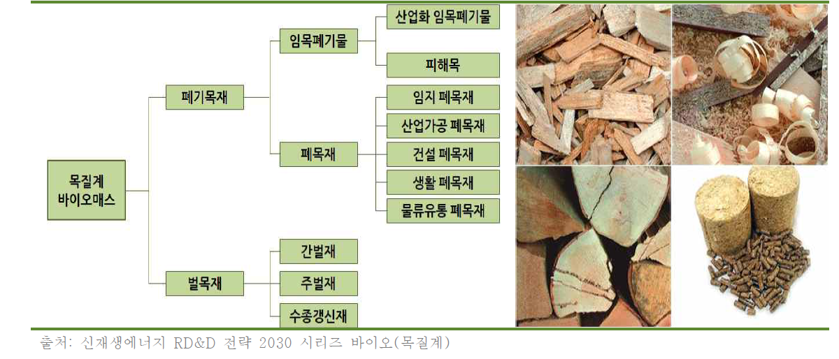 목질계 바이오매스의 분류