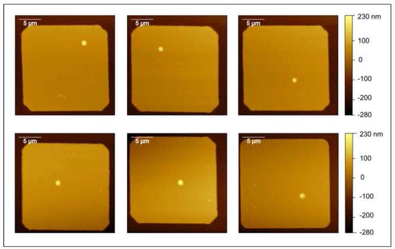 식각된 표면 위의 6개의 각각 다른 spot의 AFM 표면 이미지